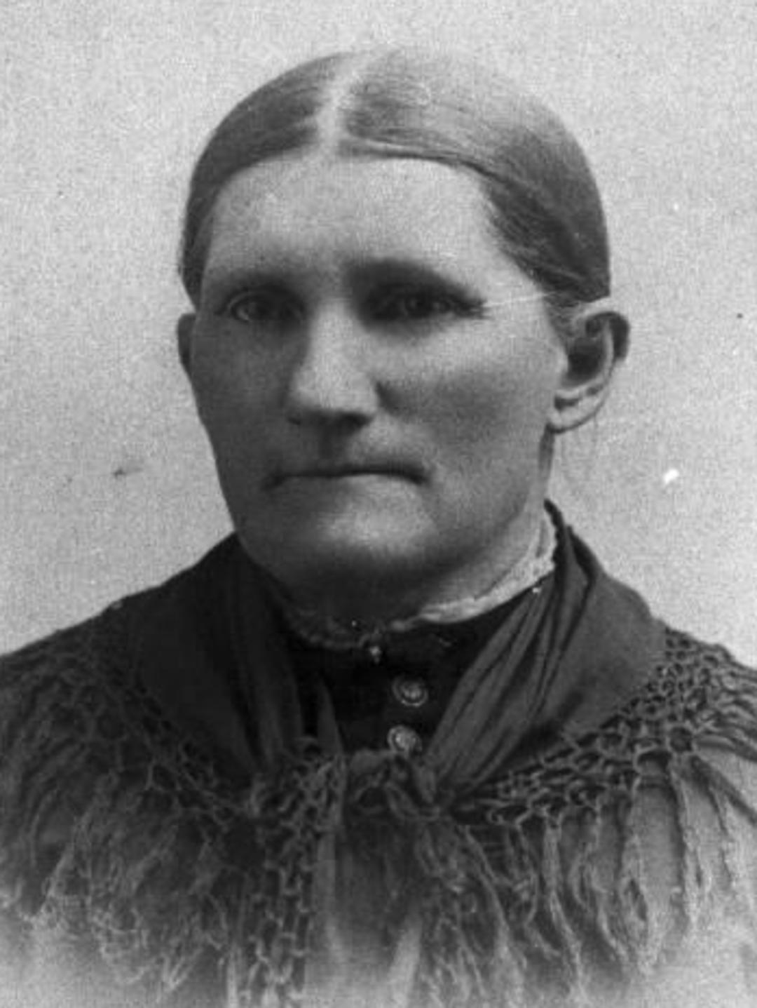 Mary Lucy Curtis (1832 - 1900) Profile